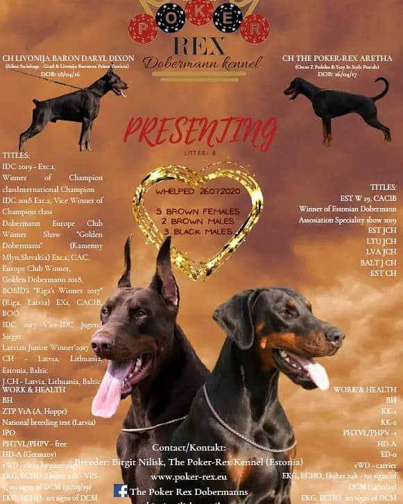 Meist 118626551 2687742288110761 5208001828532089523 n