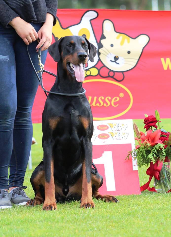 12006372 1653007364917597 6150470027605772076 N Copy