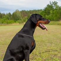 126073117 3495647027157134 5157898811711551514 n