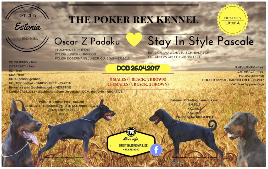 Meist 18156262 1884435825108082 8429662064019110731 o