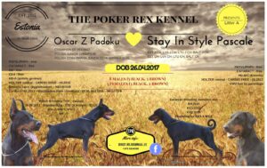 18156262 1884435825108082 8429662064019110731 o