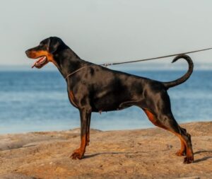 199459163 4081788921876272 6574399816737086443 n