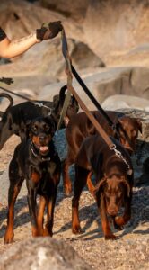 199597899 4083725415015956 4985944314680450135 n