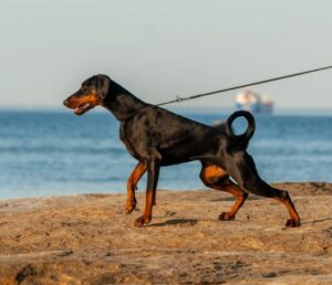 199658368 4081776241877540 3371147361358208684 n