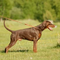 37682839 2108003312751331 2194121667075112960 n