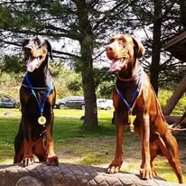 39393145 2136996843185311 7779920007835680768 n