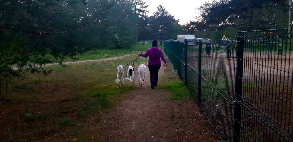 41854125 1860046864050500 1932770038075359232 n