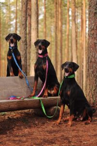 43877852 2170524333165895 1126804899401564160 n copy