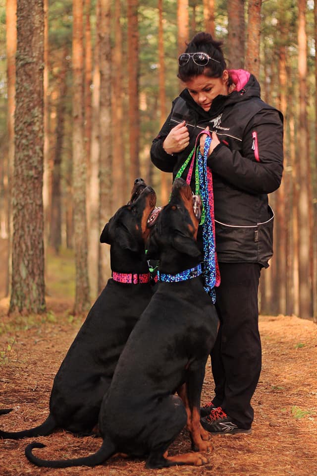 44094740 2170524303165898 948732428573212672 N Copy