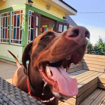 469122230 8831997256855391 4078908576859907945 n