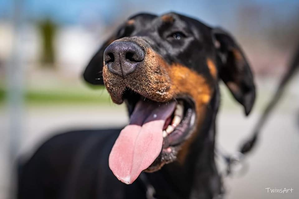 469235401 8831997146855402 3039993551806327615 N Copy