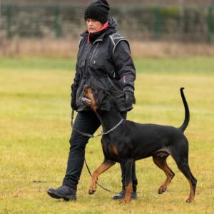 476906523 9193853767336403 1384832090932064821 n