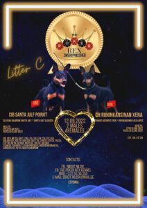 483671449 3939369432948034 7292605813928286362 n