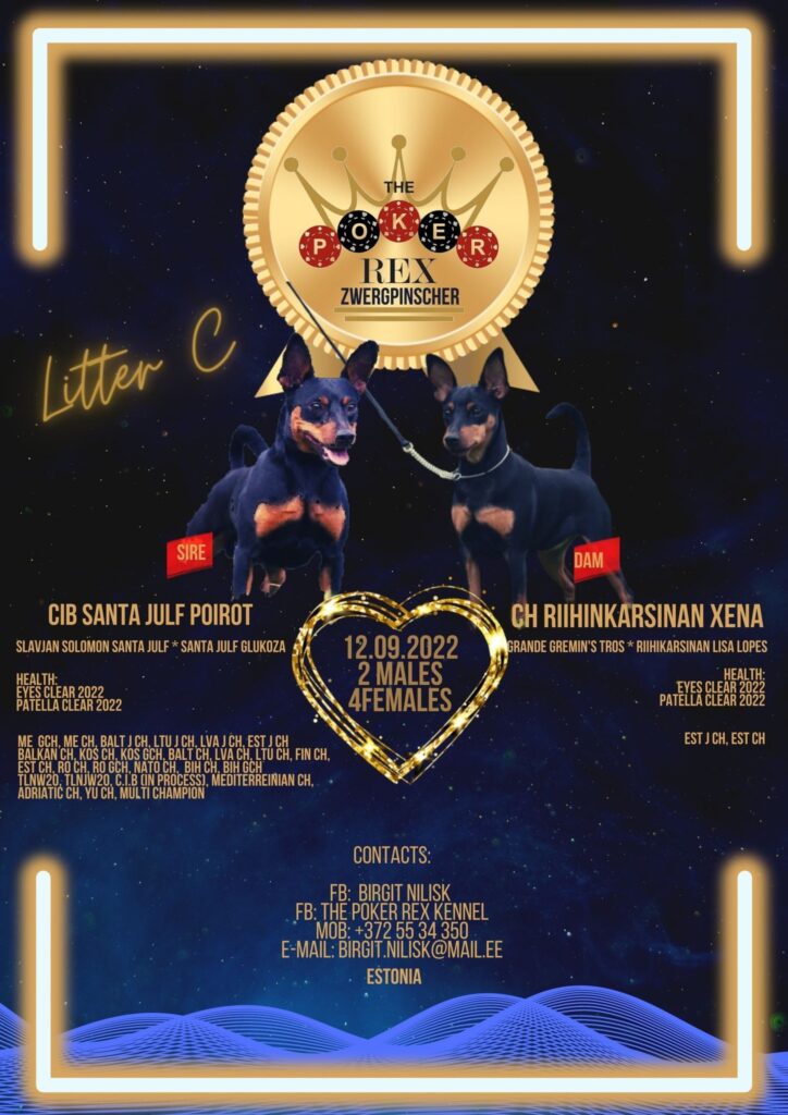 Meist 483671449 3939369432948034 7292605813928286362 n