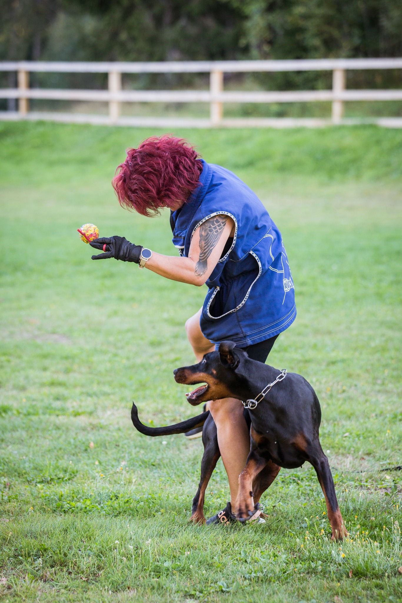 484576124 9410585078996603 2185038266002206398 n copy