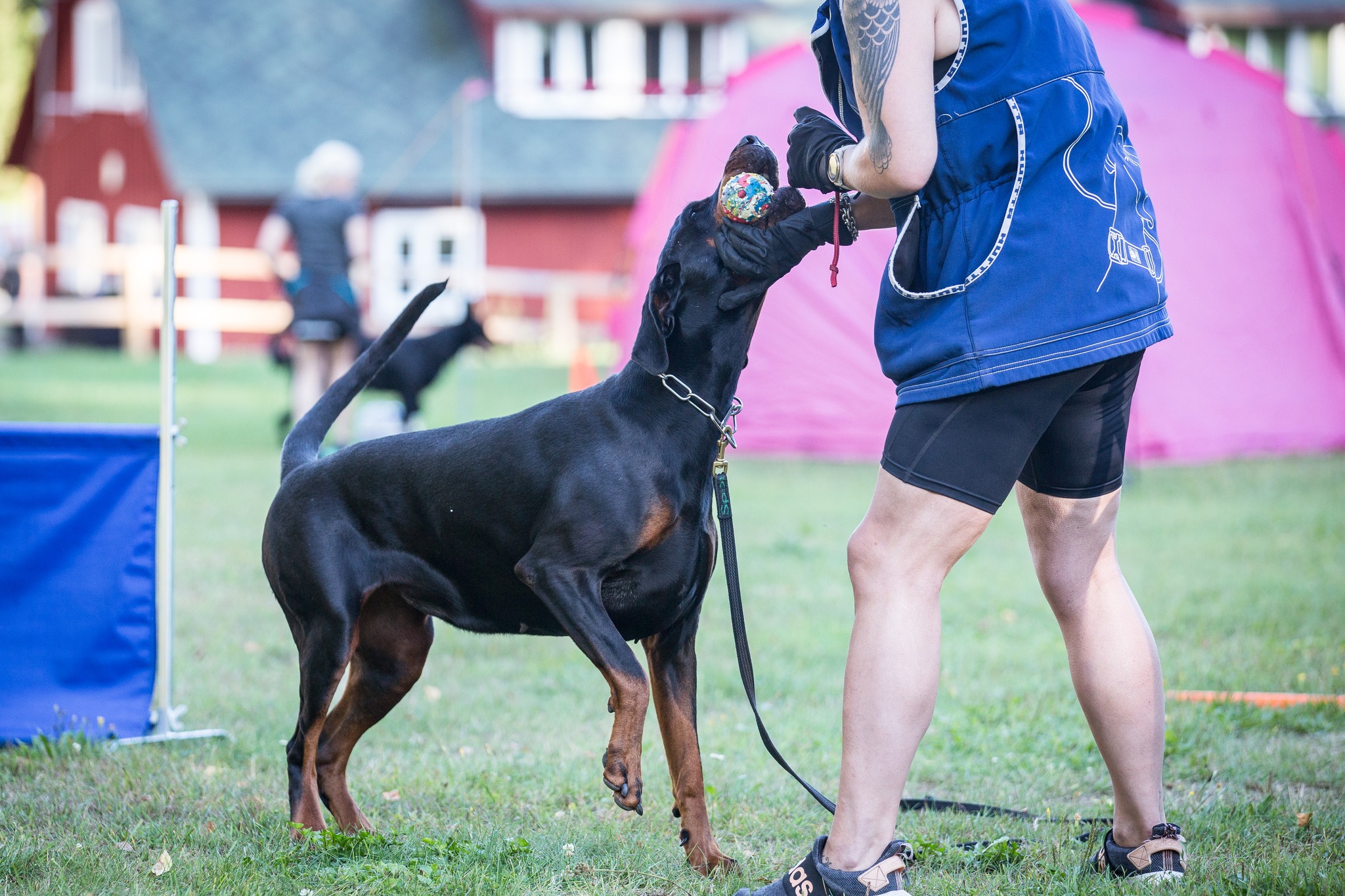 484950157 9410585012329943 5138786453896008941 N Copy