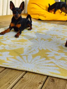 488775716 9525249257530184 1746463126227079605 n