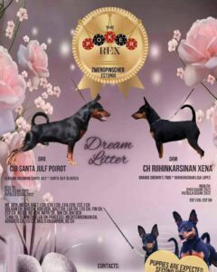 492044588 9631571986897910 5618200568555867990 n