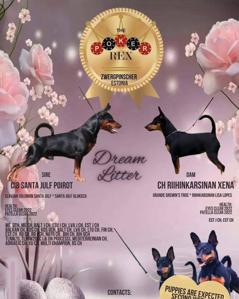 Meist 492044588 9631571986897910 5618200568555867990 n