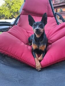 493521735 9664348183620290 7826251365903557766 n