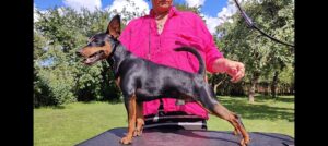 494561684 9675398249181950 2411507565781888668 n