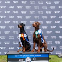 61559718 2313370012214659 1466375180010913792 n