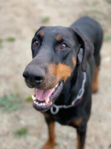 71183871 2449473545107826 7577976121661063168 n