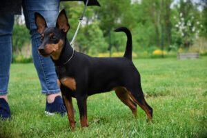 102556500 2614075968810727 5661862525105340416 n