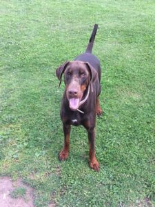 109750636 666475333945818 1506203615371771697 n