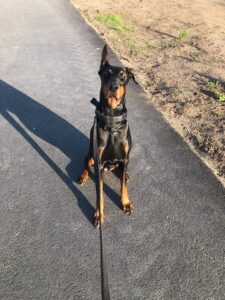 116878126 671614950098523 5872195410371103117 n