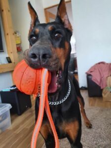 117062897 10222228418195092 6142034645705643467 n