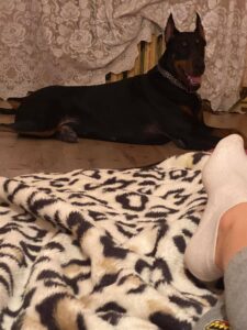 139090052 785294145397269 8681957910252922391 n