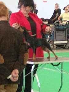 14d76103 69ba 44ae 9088 69d425ce5931