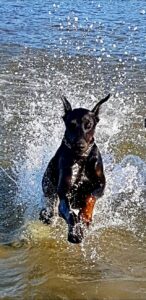 32543003 217838385476184 539132160741736448 n