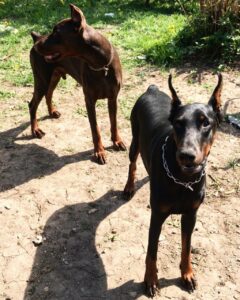 32884096 219364845323538 2907199676887334912 n