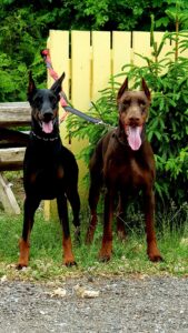 35415646 229798850946804 3387634246171492352 n