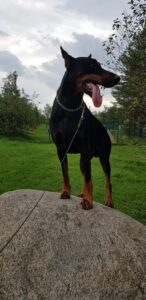 41681734 295341874392501 3148585020835233792 n