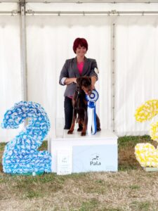 470187734 8875931282461988 3933451522168934339 n