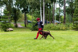 471771608 8953110408077408 4470817494874979126 n copy