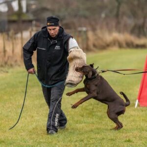 476835301 9193853744003072 7197234866628197857 n copy