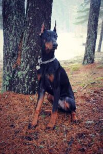 47688396 326066754653346 1570652695285465088 n