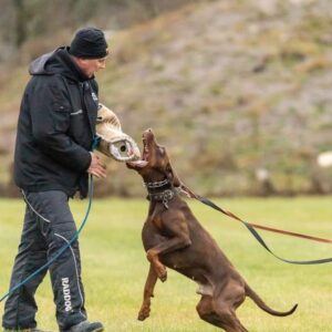 476917103 9193853777336402 7529274242667018878 n copy