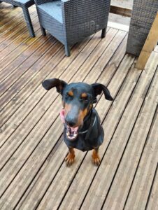 480486177 922458243416061 6246927917589471492 n