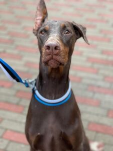 480492042 920704943591391 6160669050836413333 n