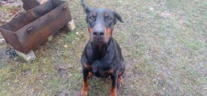 480537483 920725436922675 624127792421814546 n