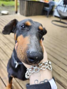 480732333 922458406749378 5671277616444881113 n