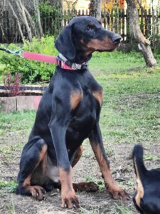 480803447 928156566179562 7764777042417220265 n