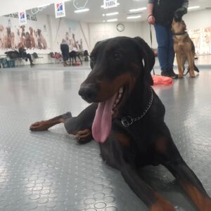 480928855 9256765024378610 6473195507613503463 n