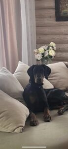 480999222 927382416256977 4945821245946147593 n