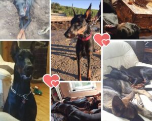 481914985 1681823115744363 5071330375306601367 n